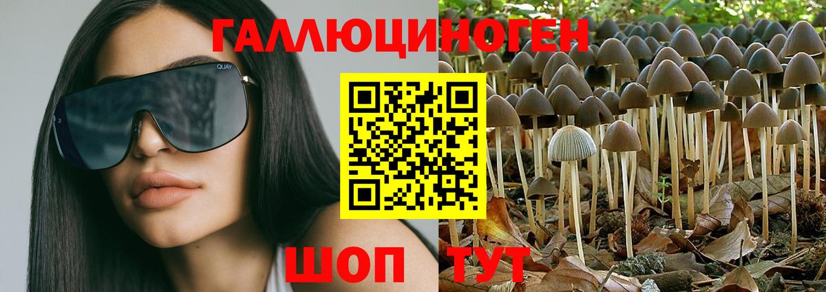 Псилоцибиновые грибы MAGIC MUSHROOMS Шадринск